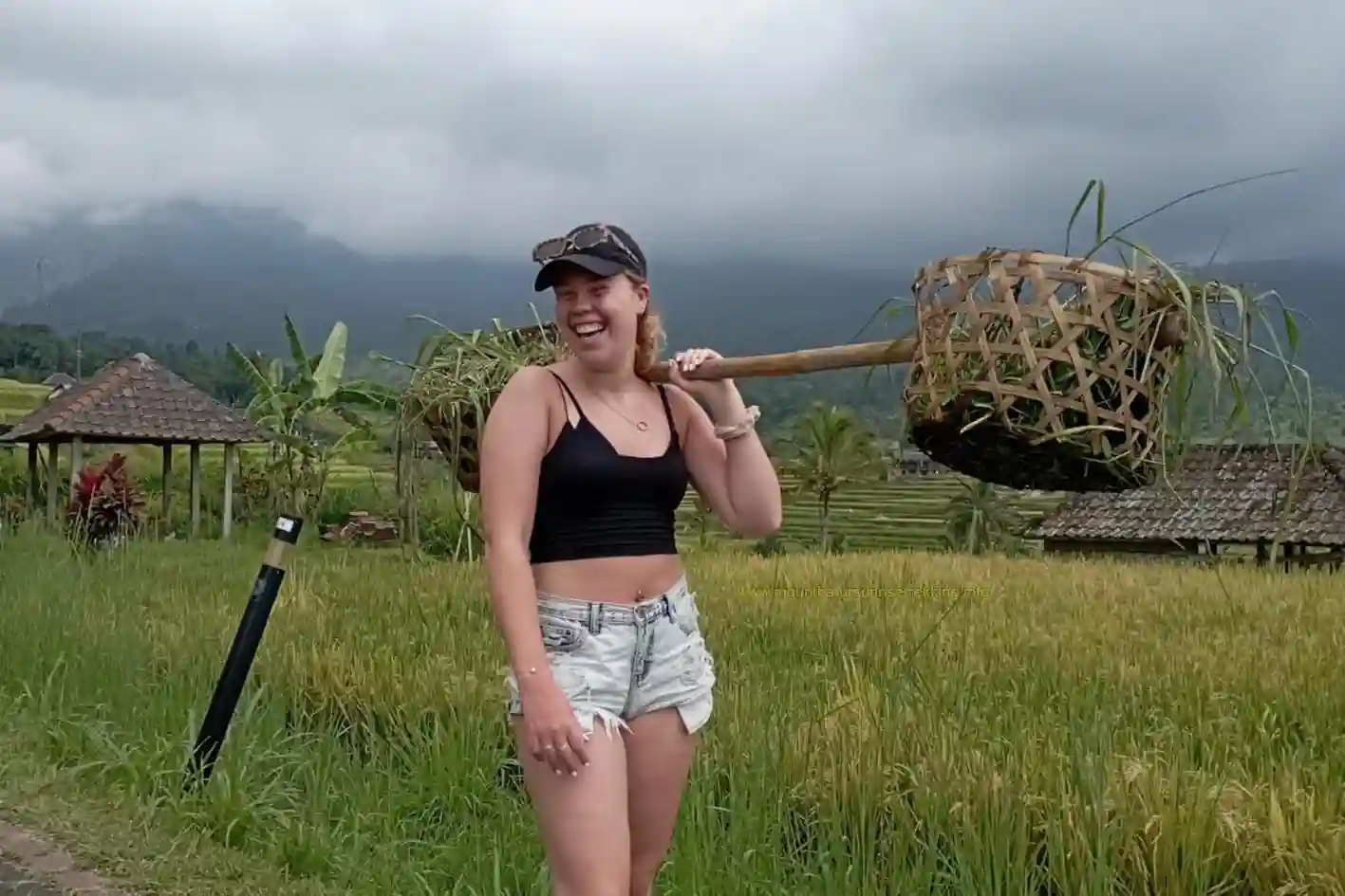 Jatiluwih rice terrace fields