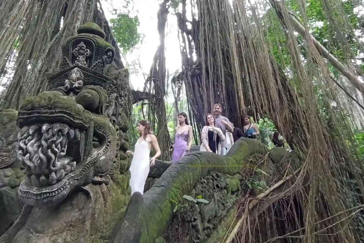 monkey forest